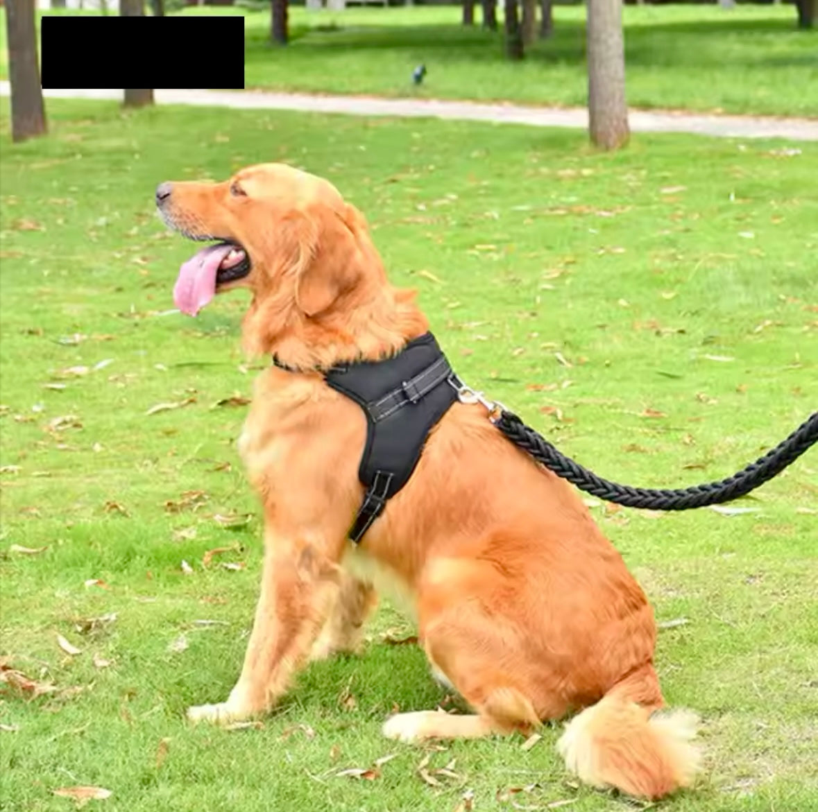 Arnés Ajustable Reflectante Talla L + 1 Guante de Aseo para Perros y Gatos - Accesorio para Mascotas