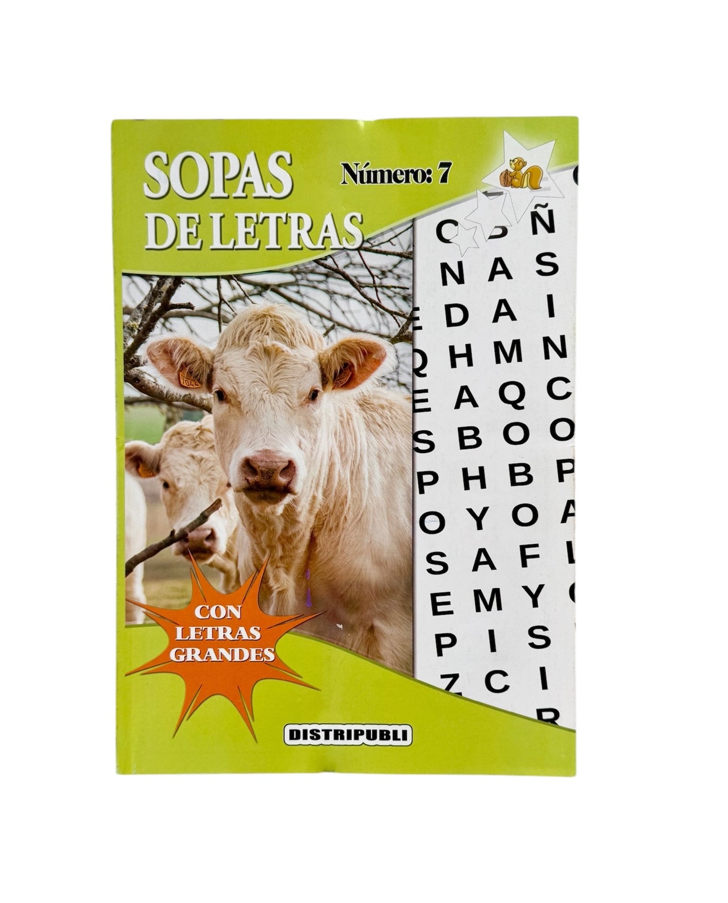 Sopas de Letras en Español, Pack de 4 Libros, 376 Pasatiempos, Letra Grande, Blanco y Negro